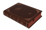 Biblia Reina Valera 60 chica vinil café impermeable