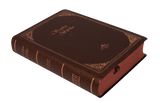 Biblia Reina Valera 60 chica vinil café impermeable