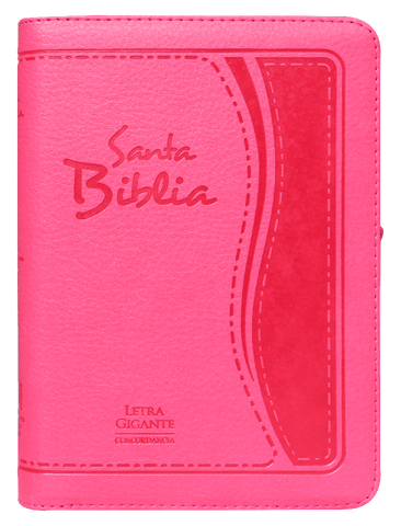 B. RVR60 letra gigante rosa imit piel