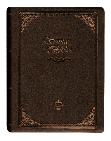 Biblia Reina Valera 60 chica vinil café impermeable