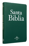 B.RVR065e mediana verde