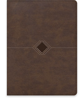 Biblia Reina Valera 60 Cronológica día a día marrón piel