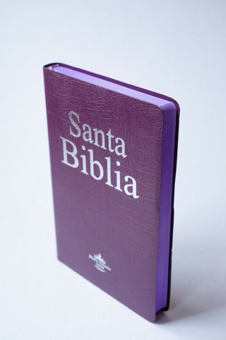 Biblia Reina Valera 60 mediana imitación económica lila